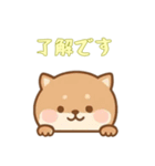 [了解です専用]のぞく犬（個別スタンプ：14）