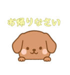 [お帰りなさい専用]のぞく犬（個別スタンプ：4）