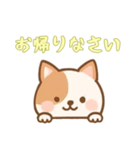 [お帰りなさい専用]のぞく犬（個別スタンプ：5）
