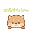 [お帰りなさい専用]のぞく犬（個別スタンプ：8）