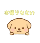 [お帰りなさい専用]のぞく犬（個別スタンプ：9）