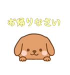 [お帰りなさい専用]のぞく犬（個別スタンプ：11）