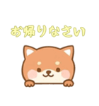 [お帰りなさい専用]のぞく犬（個別スタンプ：13）