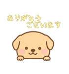 [ありがとうございます専用]のぞく犬（個別スタンプ：1）