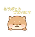 [ありがとうございます専用]のぞく犬（個別スタンプ：5）