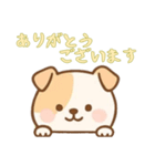 [ありがとうございます専用]のぞく犬（個別スタンプ：6）