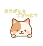 [ありがとうございます専用]のぞく犬（個別スタンプ：8）