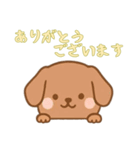 [ありがとうございます専用]のぞく犬（個別スタンプ：9）