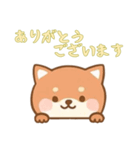 [ありがとうございます専用]のぞく犬（個別スタンプ：14）