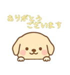 [ありがとうございます専用]のぞく犬（個別スタンプ：16）