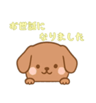カップから犬4（日常）（個別スタンプ：3）