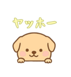 カップから犬4（日常）（個別スタンプ：13）