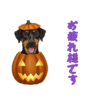 [お疲れ様です専用]ハロウィンの犬（個別スタンプ：1）