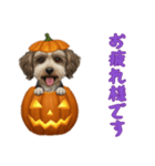 [お疲れ様です専用]ハロウィンの犬（個別スタンプ：3）
