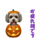 [お疲れ様です専用]ハロウィンの犬（個別スタンプ：4）