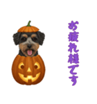 [お疲れ様です専用]ハロウィンの犬（個別スタンプ：8）