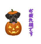 [お疲れ様です専用]ハロウィンの犬（個別スタンプ：10）
