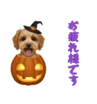 [お疲れ様です専用]ハロウィンの犬（個別スタンプ：11）