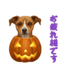 [お疲れ様です専用]ハロウィンの犬（個別スタンプ：15）