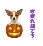[お疲れ様です専用]ハロウィンの犬（個別スタンプ：16）