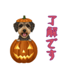 [了解です専用]ハロウィンの犬（個別スタンプ：1）