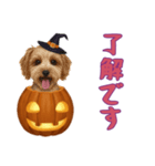 [了解です専用]ハロウィンの犬（個別スタンプ：2）