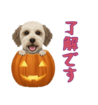 [了解です専用]ハロウィンの犬（個別スタンプ：4）