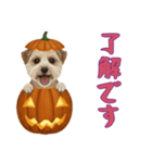 [了解です専用]ハロウィンの犬（個別スタンプ：7）