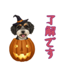 [了解です専用]ハロウィンの犬（個別スタンプ：9）