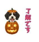 [了解です専用]ハロウィンの犬（個別スタンプ：10）