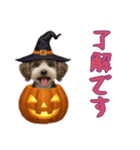 [了解です専用]ハロウィンの犬（個別スタンプ：12）