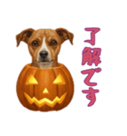 [了解です専用]ハロウィンの犬（個別スタンプ：13）