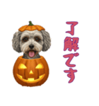 [了解です専用]ハロウィンの犬（個別スタンプ：14）