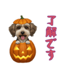 [了解です専用]ハロウィンの犬（個別スタンプ：15）