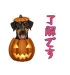[了解です専用]ハロウィンの犬（個別スタンプ：16）