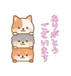 [ありがとうございます専用]かさなる犬（個別スタンプ：7）
