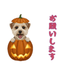 [お願いします専用]ハロウィンの犬（個別スタンプ：3）