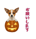 [お願いします専用]ハロウィンの犬（個別スタンプ：6）