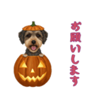 [お願いします専用]ハロウィンの犬（個別スタンプ：10）