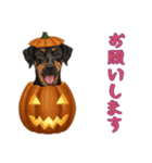 [お願いします専用]ハロウィンの犬（個別スタンプ：11）