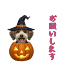 [お願いします専用]ハロウィンの犬（個別スタンプ：13）