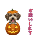 [お願いします専用]ハロウィンの犬（個別スタンプ：14）