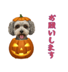 [お願いします専用]ハロウィンの犬（個別スタンプ：15）