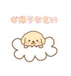 お空のワンコの日常（個別スタンプ：1）