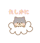 お空のワンコの日常（個別スタンプ：3）