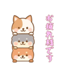 [お疲れ様です専用]かさなる犬（個別スタンプ：13）