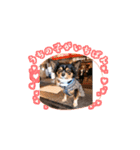 ウナギウオッカ ②（個別スタンプ：2）