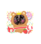 さび猫1番【実写】Stamp2（個別スタンプ：3）
