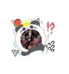 さび猫1番【実写】Stamp2（個別スタンプ：8）