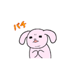 あまりにもかわいい☆動く生粋のウサギさん（個別スタンプ：16）